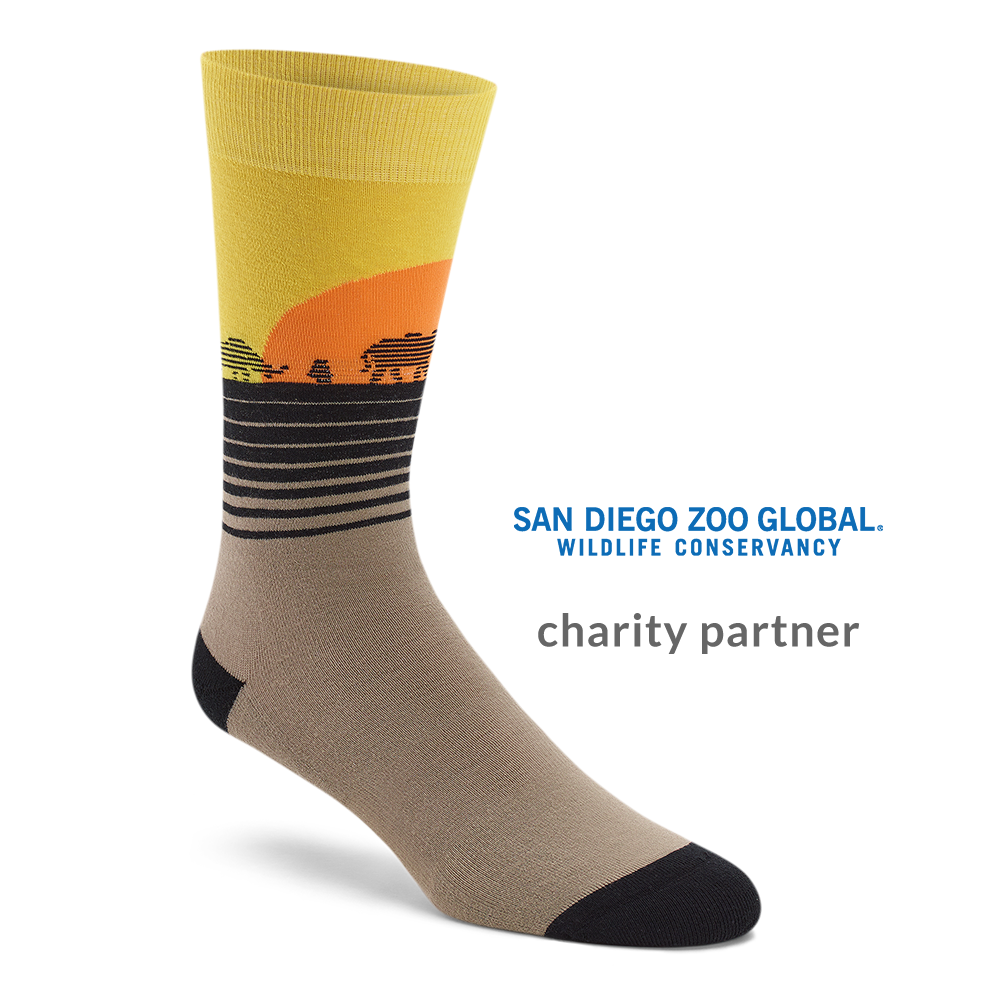 Sock Extinction And Help Save Animals | Sock Causes With Sock Problems