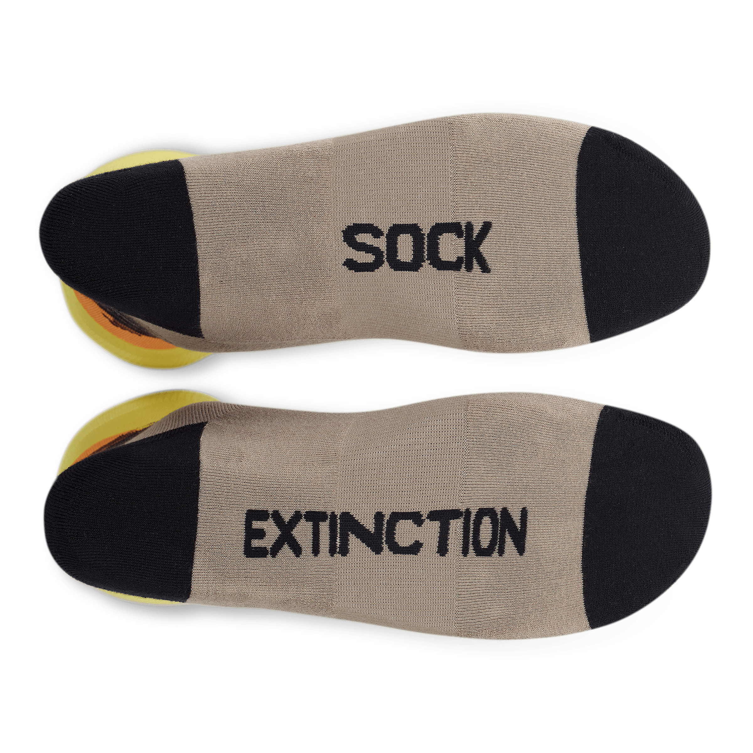 Sock Extinction And Help Save Animals | Sock Causes With Sock Problems